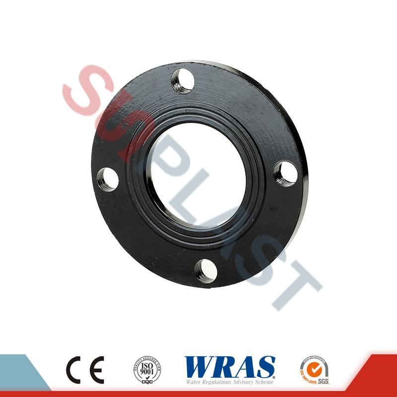 Steel Flange